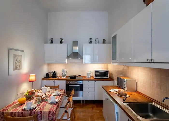 Spacious In Centre With Fireplace Appartement *